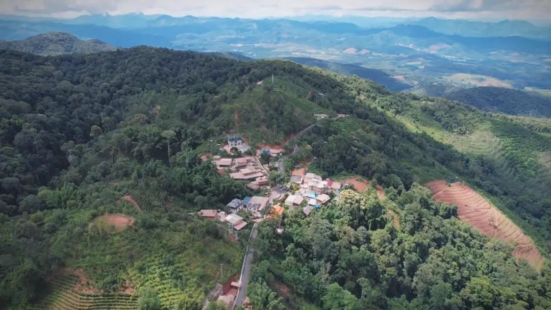 非凡十年基诺山乡小普希村从贫穷落后到欣欣向荣的蜕变