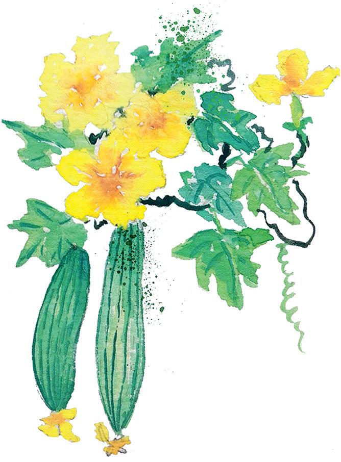 蔬菜中蕴含的中医智慧丝瓜