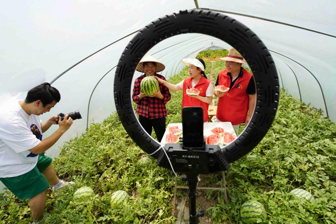 温州将孵化1000名农产品主播电商赋能产业振兴