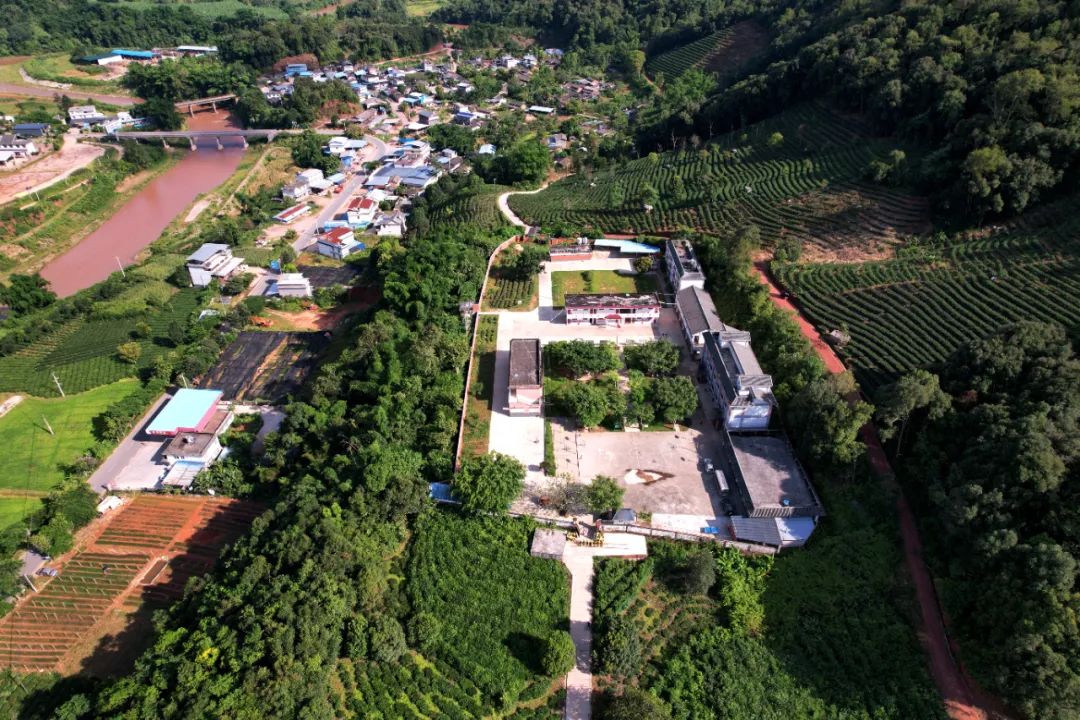 思茅区倚象镇 张彤 摄办好大象食堂思茅区六顺镇炮掌山村石板河村民