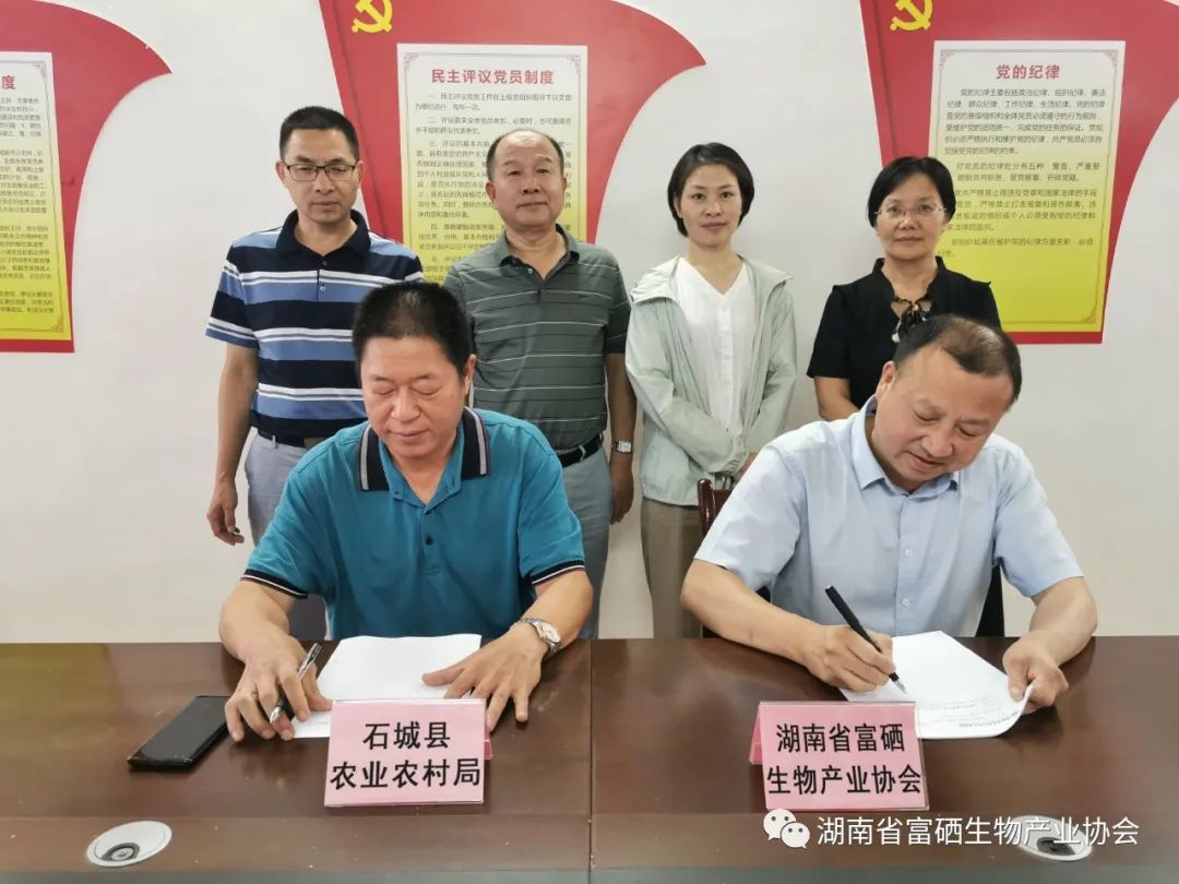 签约仪式现场