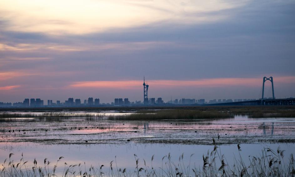 蒹葭苍苍美如画75龙凤湿地湿地跨线桥湿地公园好看大庆美景大晒30强