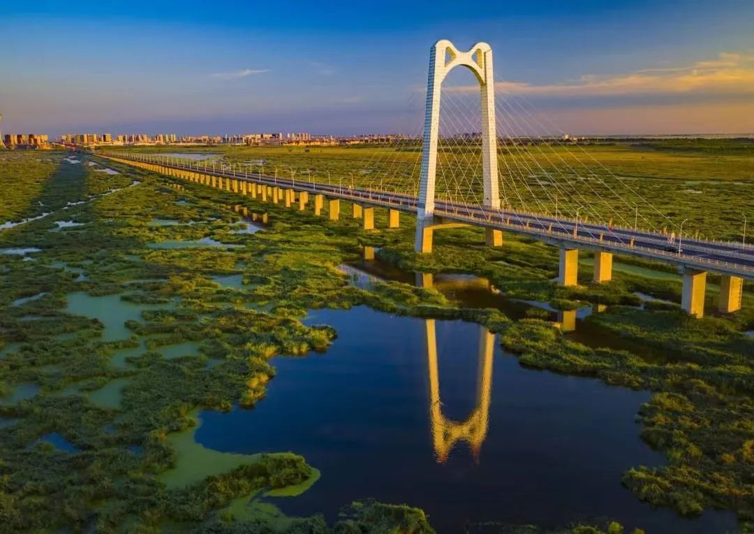大庆龙凤湿地大桥图片