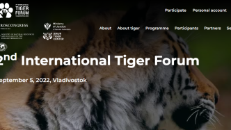 俄罗斯第二届国际老虎论坛商业计划已发布 | 最新资讯
