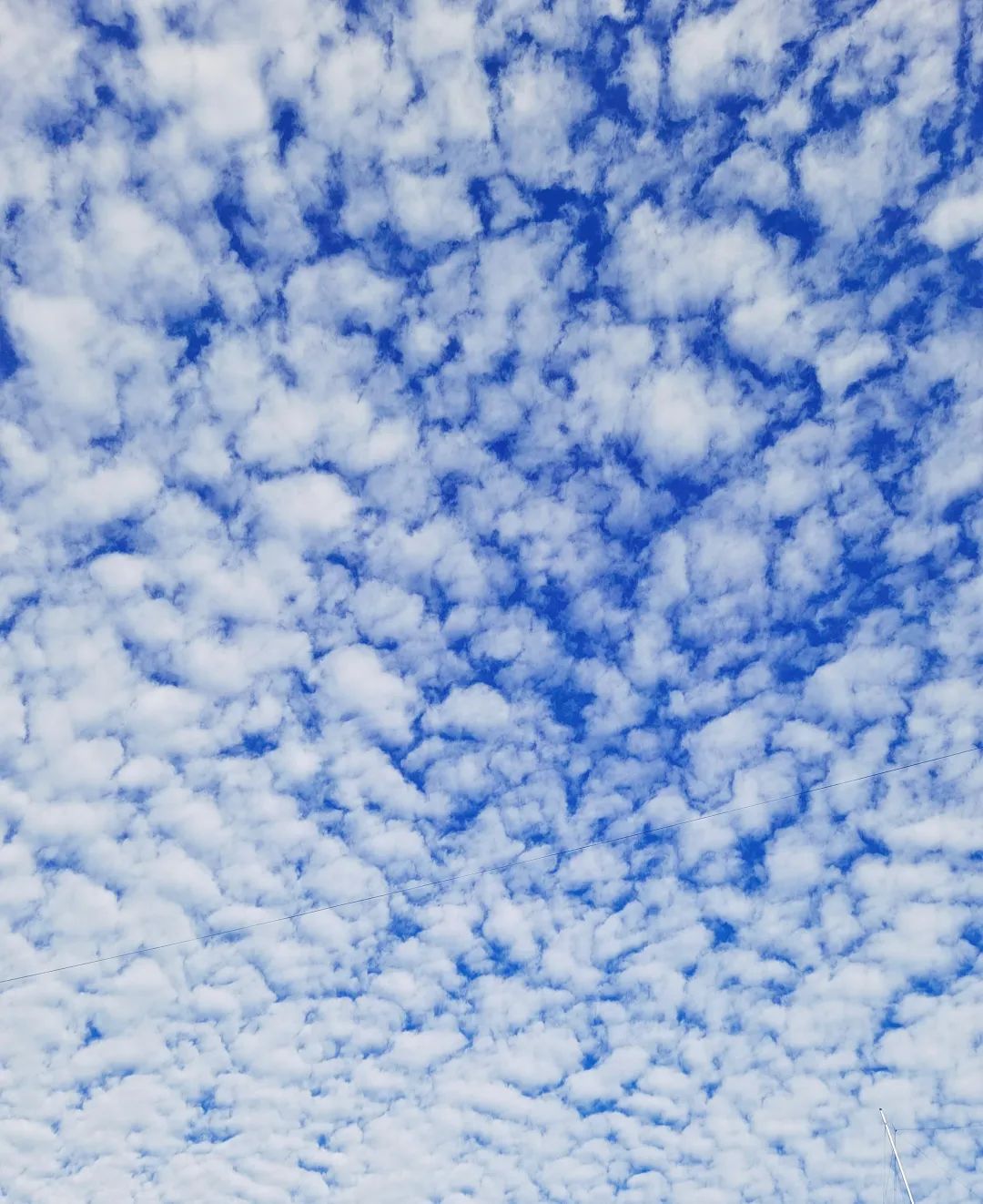 我旗天空现鱼鳞云一起欣赏吧