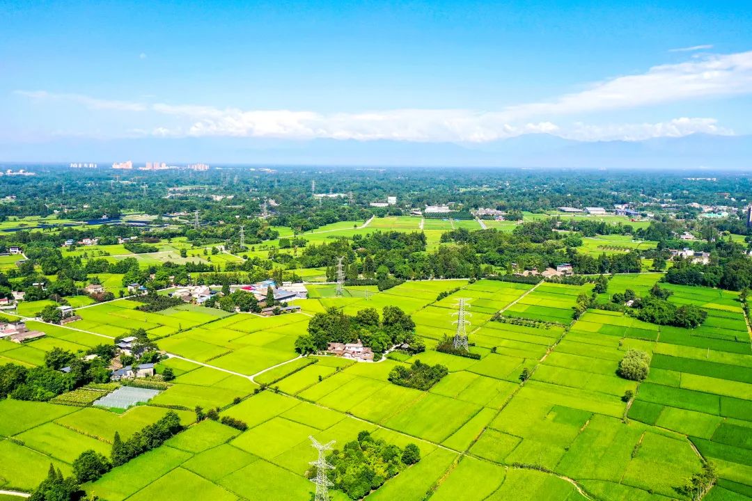重磅全市唯一郫都区入选2022年农业现代化示范区创建名单