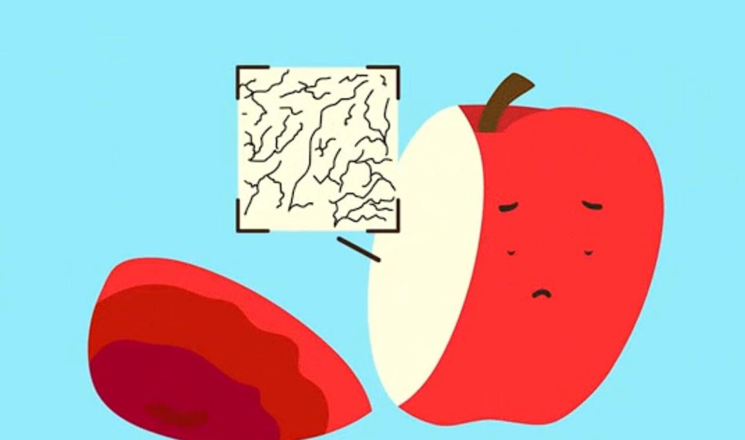 水果发霉了去掉发霉的部分还能吃吗