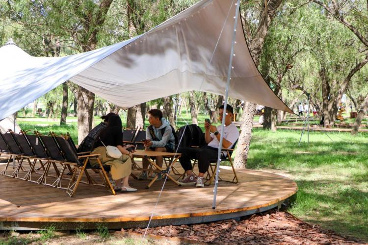 市民正在林下休憩,享受假日原标题:《绿茵下,天幕底,来一场精致露营》