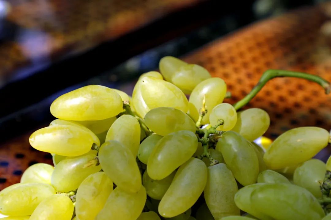 甜蜜来袭金山施泉葡萄节正式开幕