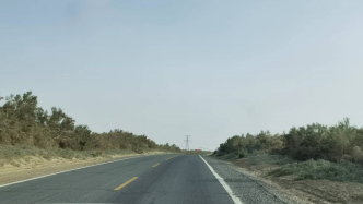 调查沙漠公路两侧的梭梭林带 | 第3次罗布泊及周边地区科考-队长笔记④