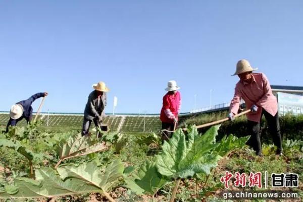 致富加盟_家庭致富小项目_致富经》