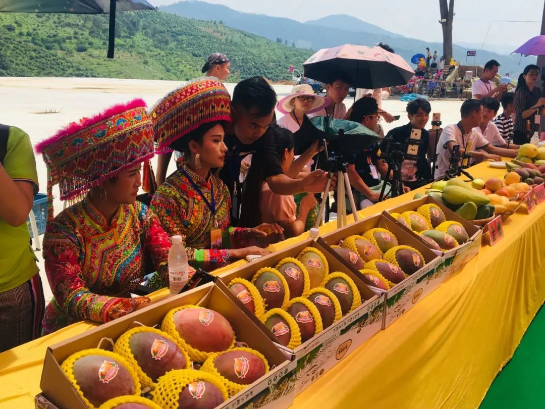 定了,中国丽江华坪第十三届芒果文化节于8月18日开幕!
