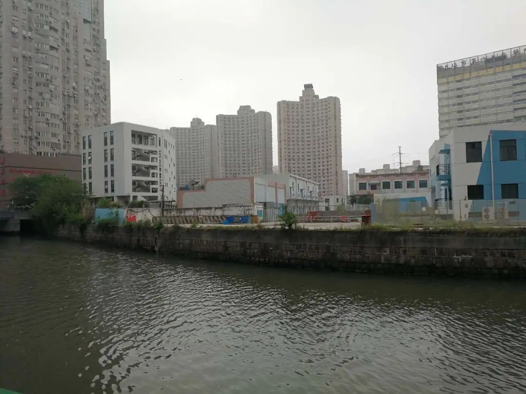 徐汇旧貌换新颜看蒲汇塘如何华丽变身小滨江