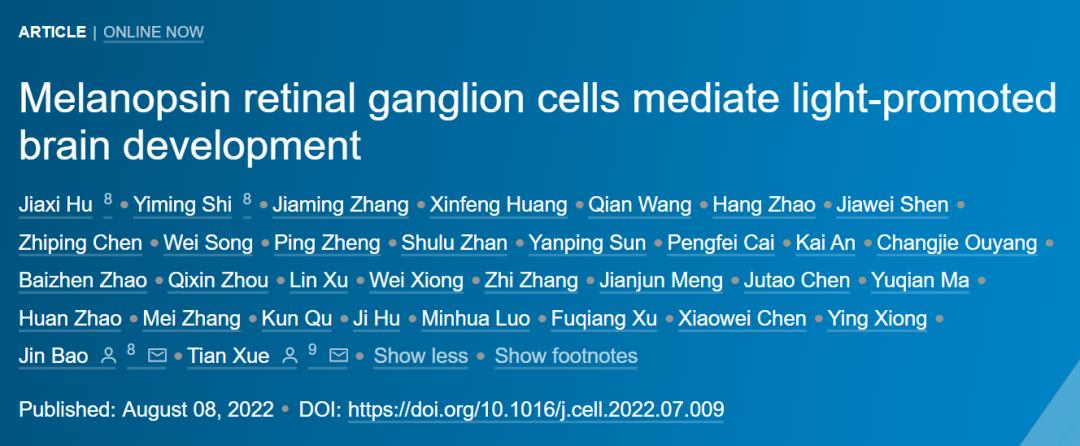Cell：中国科大薛天/鲍进团队揭示光感知促进脑发