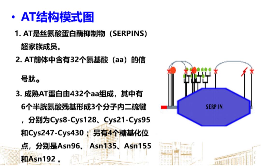 为什么采用4个血凝单位【青春检验站】血凝检测之抗凝血酶AT_https://www.jmylbn.com_新闻资讯_第4张