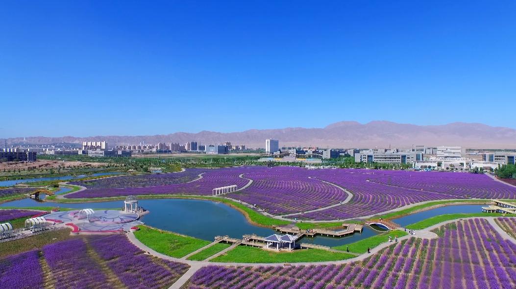 金昌初秋美景正当时迷了眼醉了心你怎能辜负