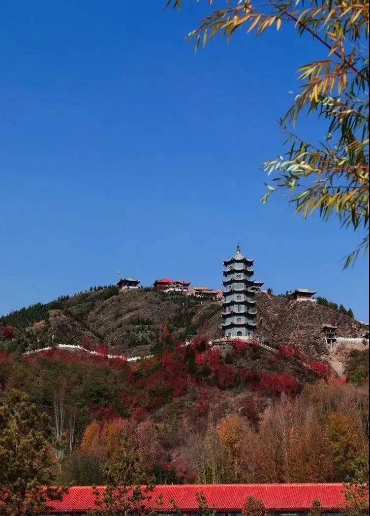 金昌初秋美景正当时迷了眼醉了心你怎能辜负