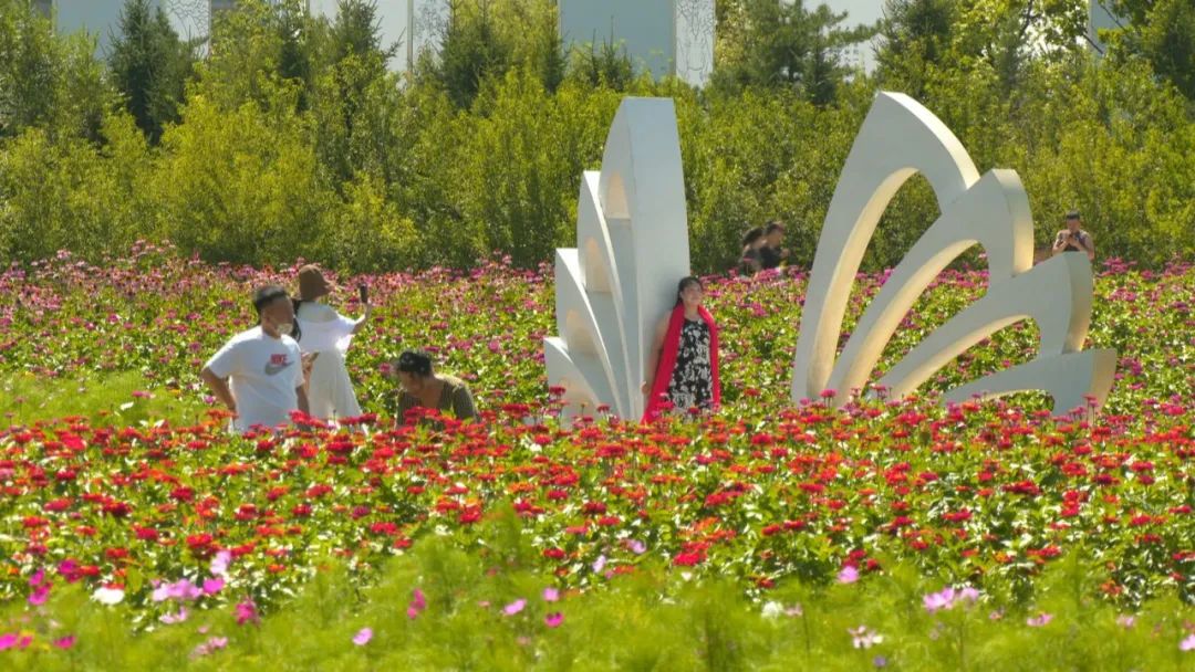 约约约长春这片花海惊艳上线