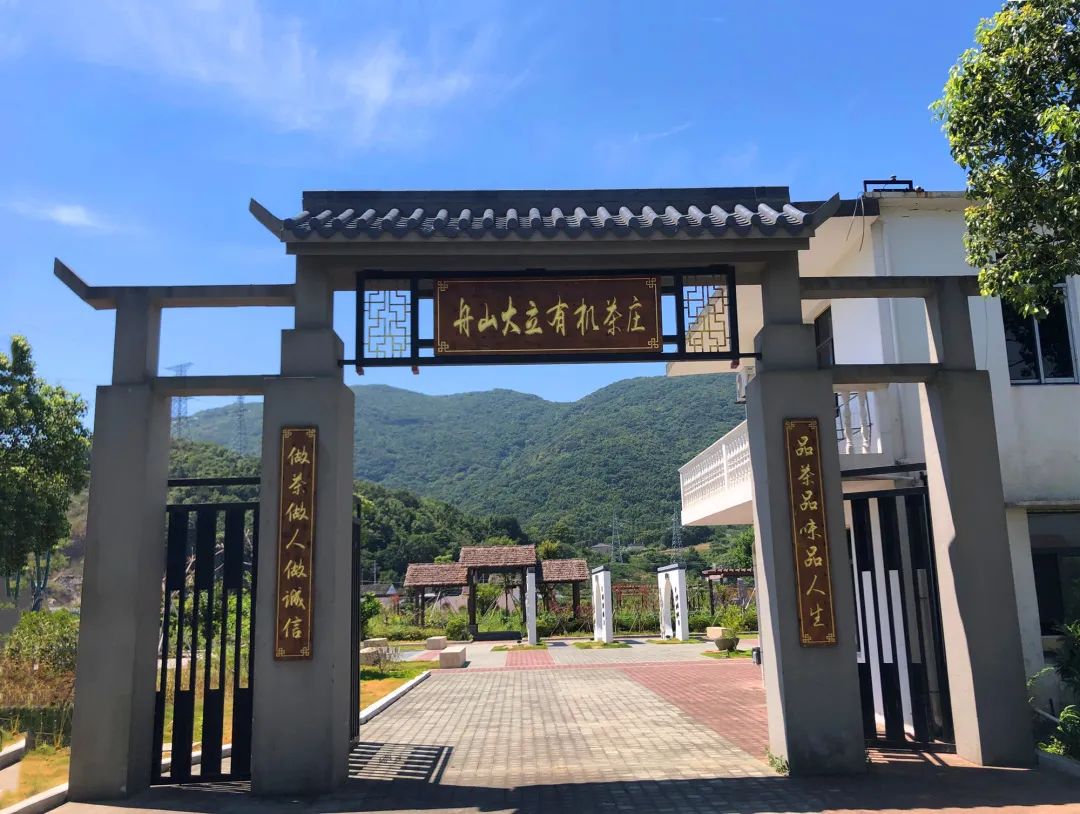 游坐旧式渔船,参观军港之夜词作创作地,走进蚂蚁岛创业纪念室, 亲手