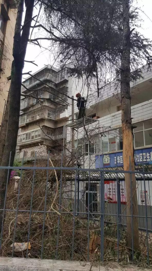 氧气管怎么带鼻子上找找！上百条现场不规范作业隐患，你能找全吗？_https://www.jmylbn.com_新闻资讯_第36张