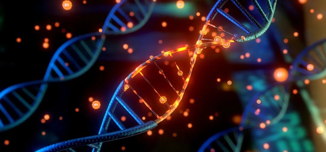 nature子刊小细胞肺癌精准化治疗基于cfdna甲基化的亚型分类