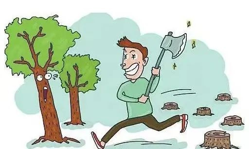 王某等人,以皆伐方式,将位于红椿镇候家坪村自留山中的林木大面积砍伐