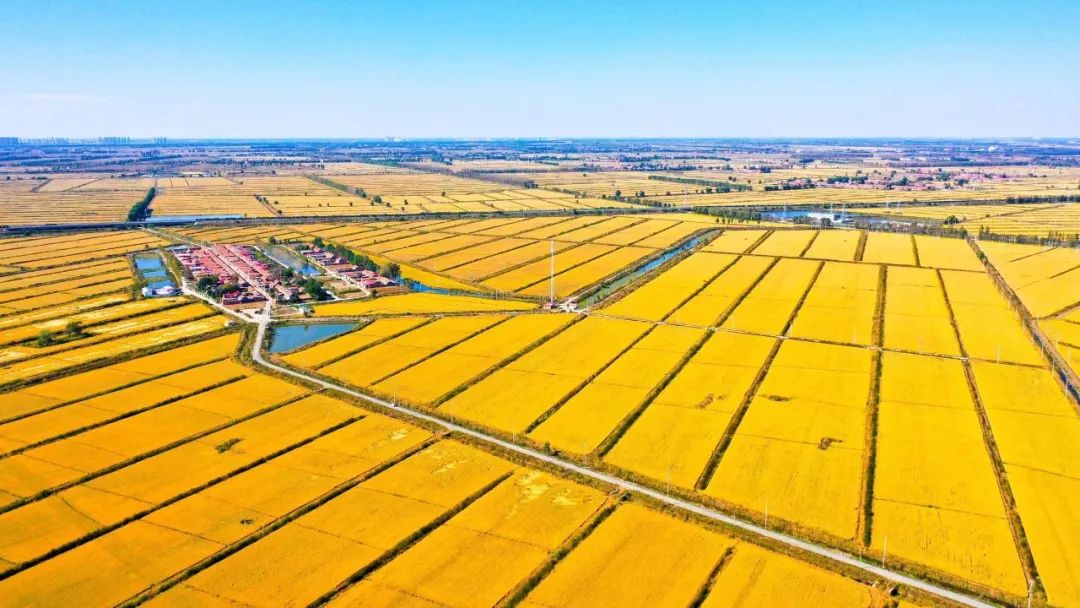 天津宝坻区稻海渔歌中强产业增人气