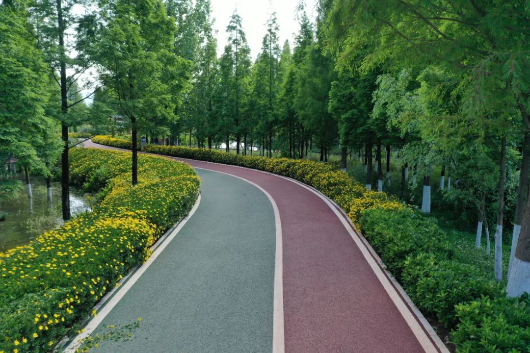 我为云南新地标点赞快旅慢游一条绿道连接山水城