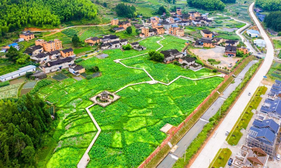 2021致富门路(当今致富门路有哪些)