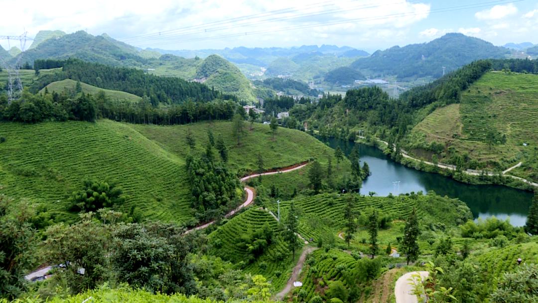 东西部协作粤黔媒体记者走进普定开展东西部协作成果专题采访