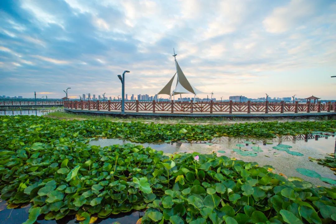 旅发进行时|这些楹联,写满了大庆美景.