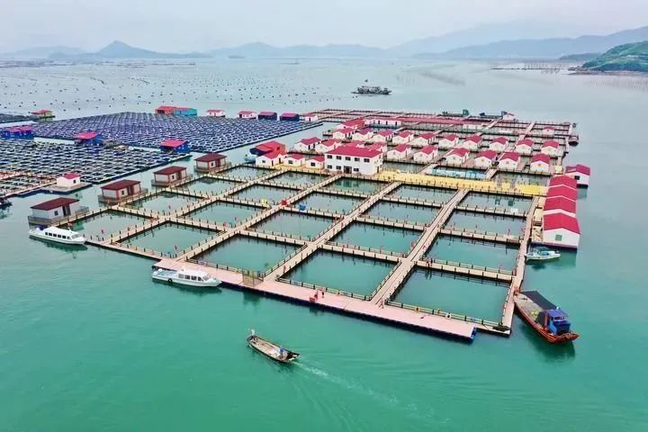2021年7月1日，渔船经过福建(jian)省宁德市霞浦县溪南镇七星海域转型升级的(de)深水网箱养殖区（无人(ren)机照片）。