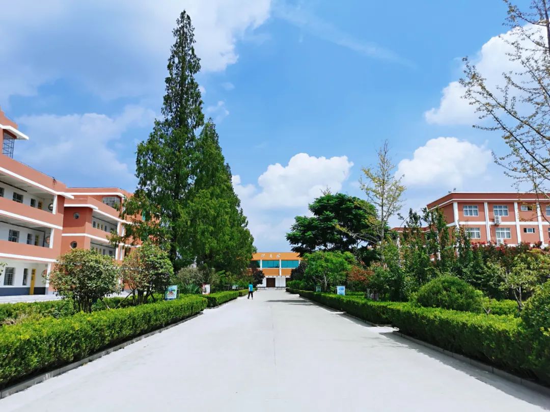 全社会关注教育全社会尊重教师曹智主持召开全市教育教学质量提升座谈