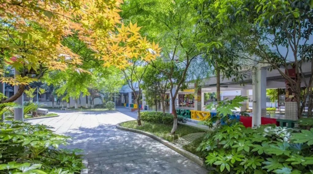 学在雨花71丨长沙市雨花区砂子塘新世界小学