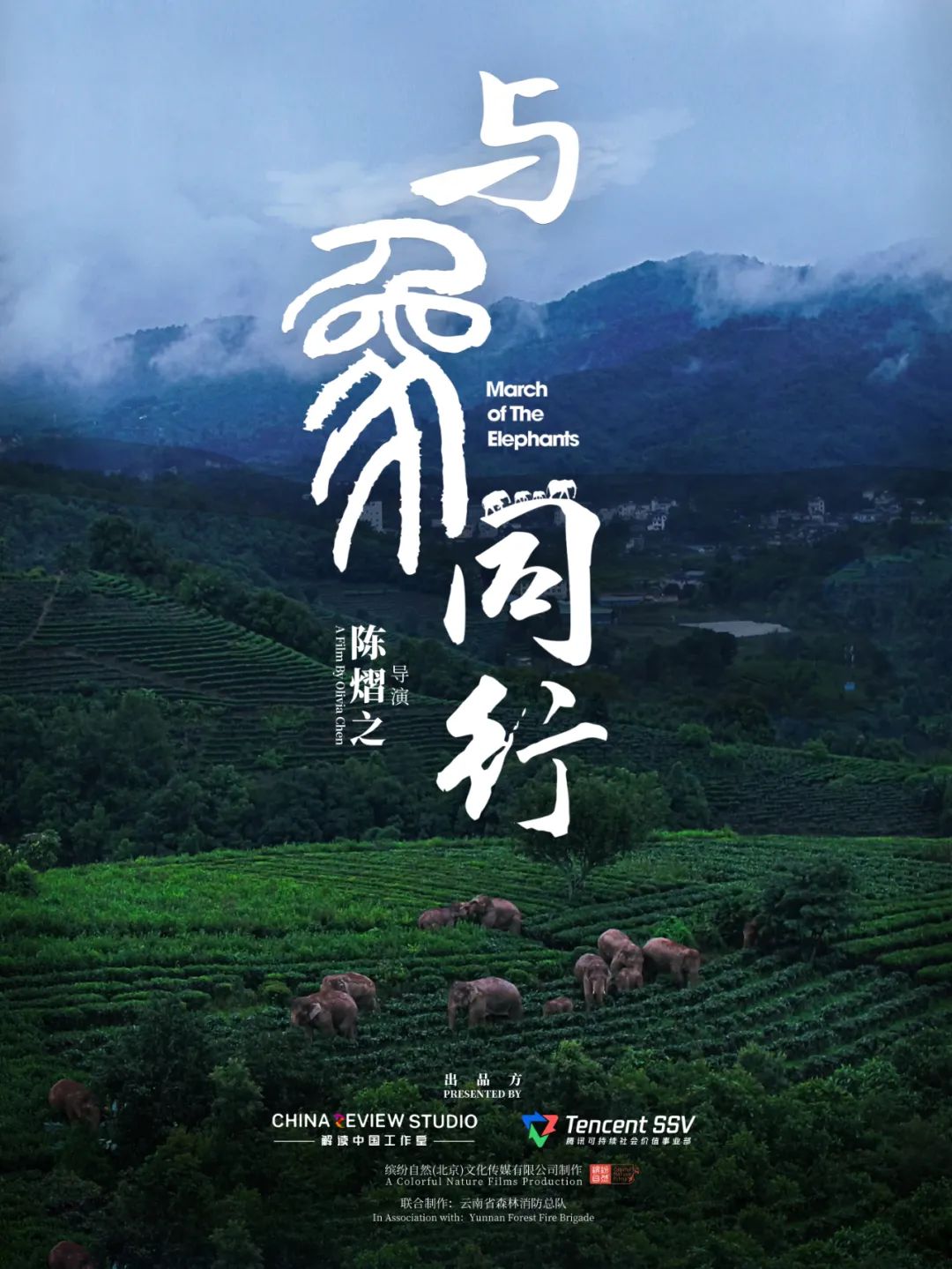 纪录片《与象同行》全球首映式在京举行