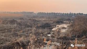 保护滩涂湿地生态系统，周晋峰对话IUCN海洋连通性工作组执行委员会主席，分享南汇东滩治理案例