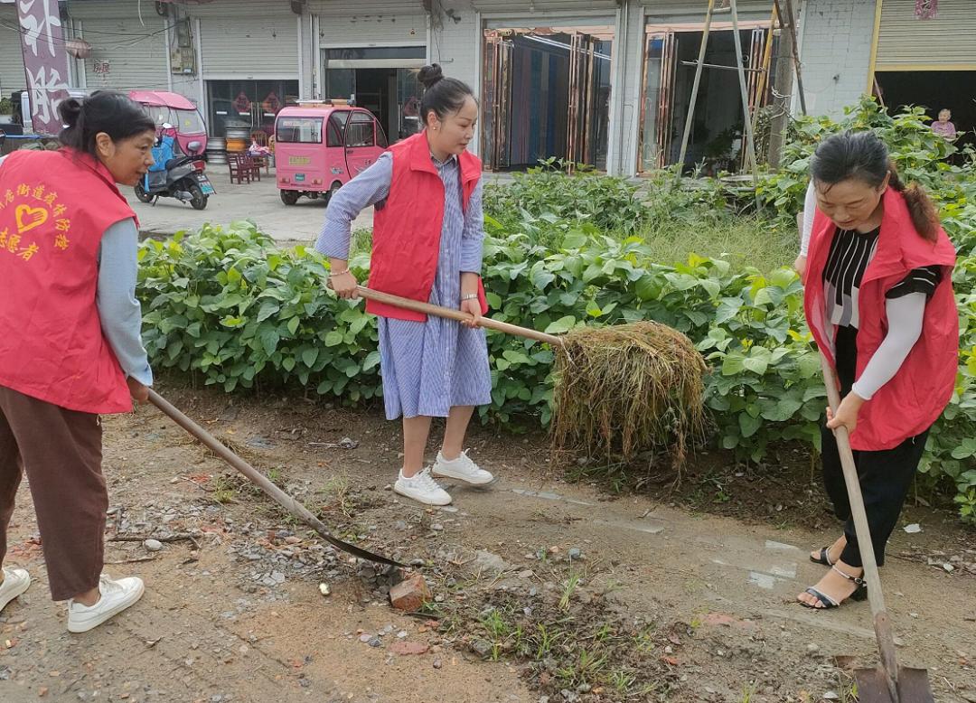 寿县众兴镇:巾帼"舞"出美丽乡村"新画卷"_澎湃号·政务_澎湃新闻-the