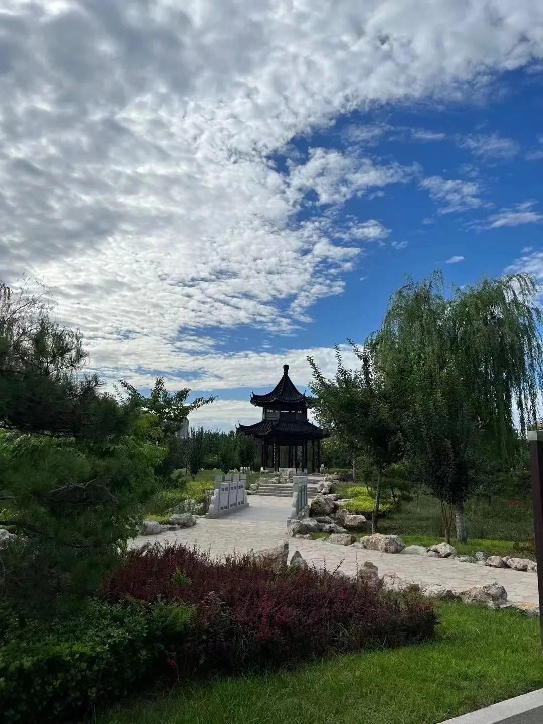 辛集颜值爆表精彩霸屏