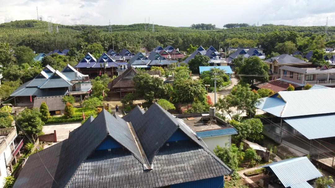 民族团结进步创建勐腊县勐捧镇曼掌村民小组中老边境线上的团结美丽