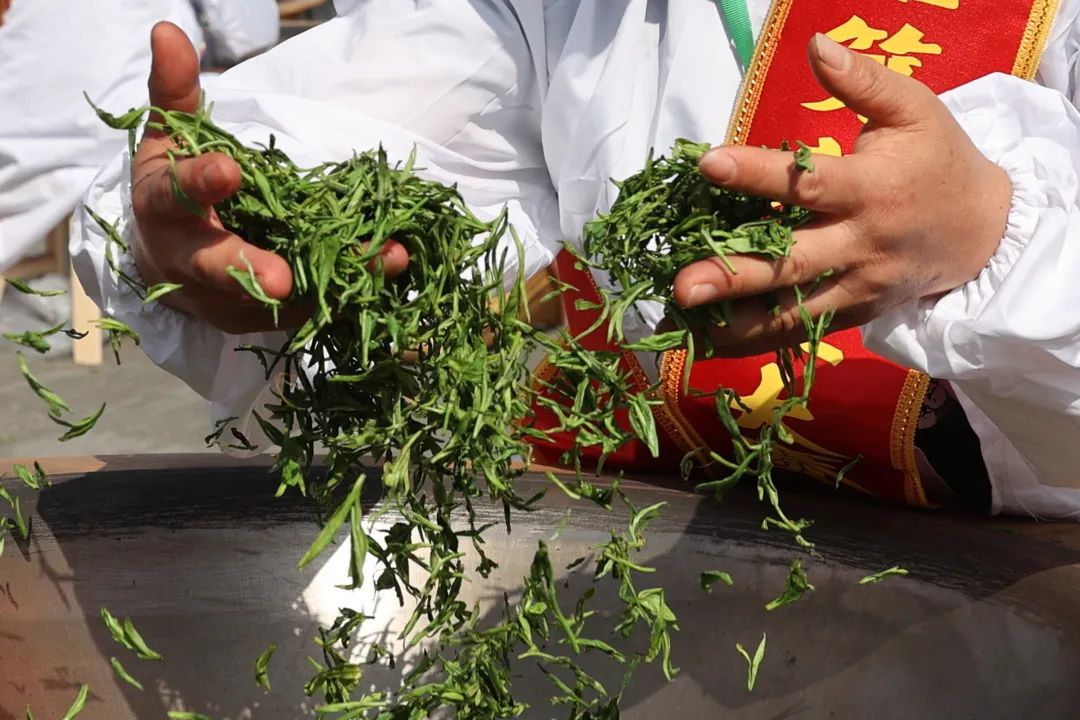 完善产业链条,优化茶产业营商环境,强化西施石笕茶叶公用品牌建设