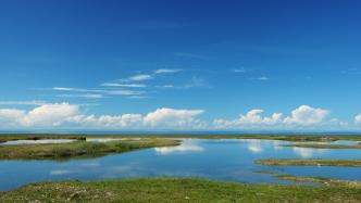 祁连山下青海湖畔，绘就大美生态画卷