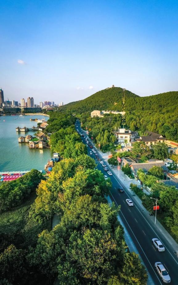 雲龍山公園▲蘇堤路的綠蔭這個夏天,走出空調房約上朋友漫步林蔭隧道