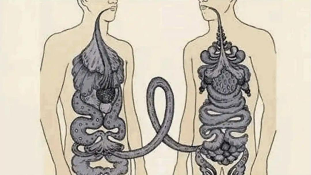 cell子刊:宏基因组揭示粪菌移植疗效的影响因素_澎湃号·湃客_澎湃