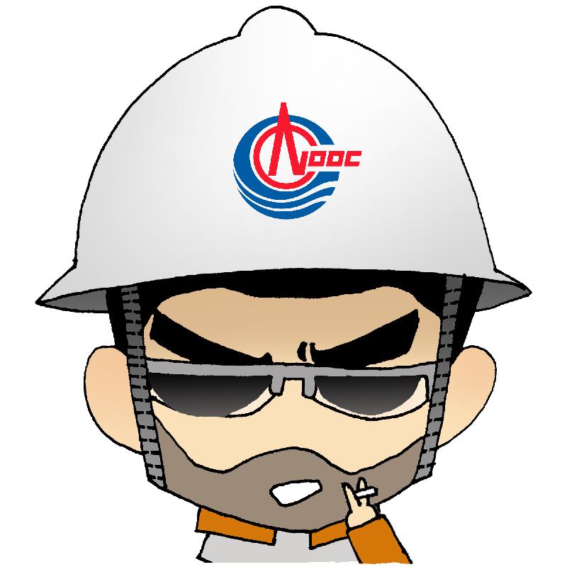 今年是我在中国海油工作的第22年,单个项目在同一时间内同时建造14个