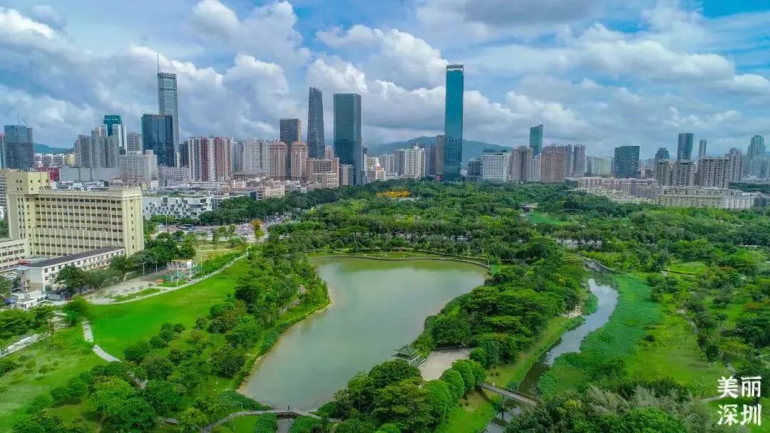 明日起,深圳中心公园停车场试运行网上预约服务_澎湃号·媒体_澎湃