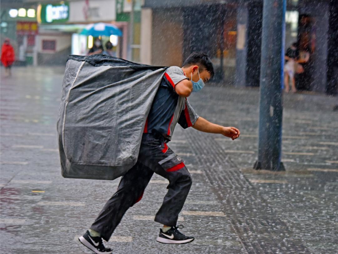 奔波 风雨中图片