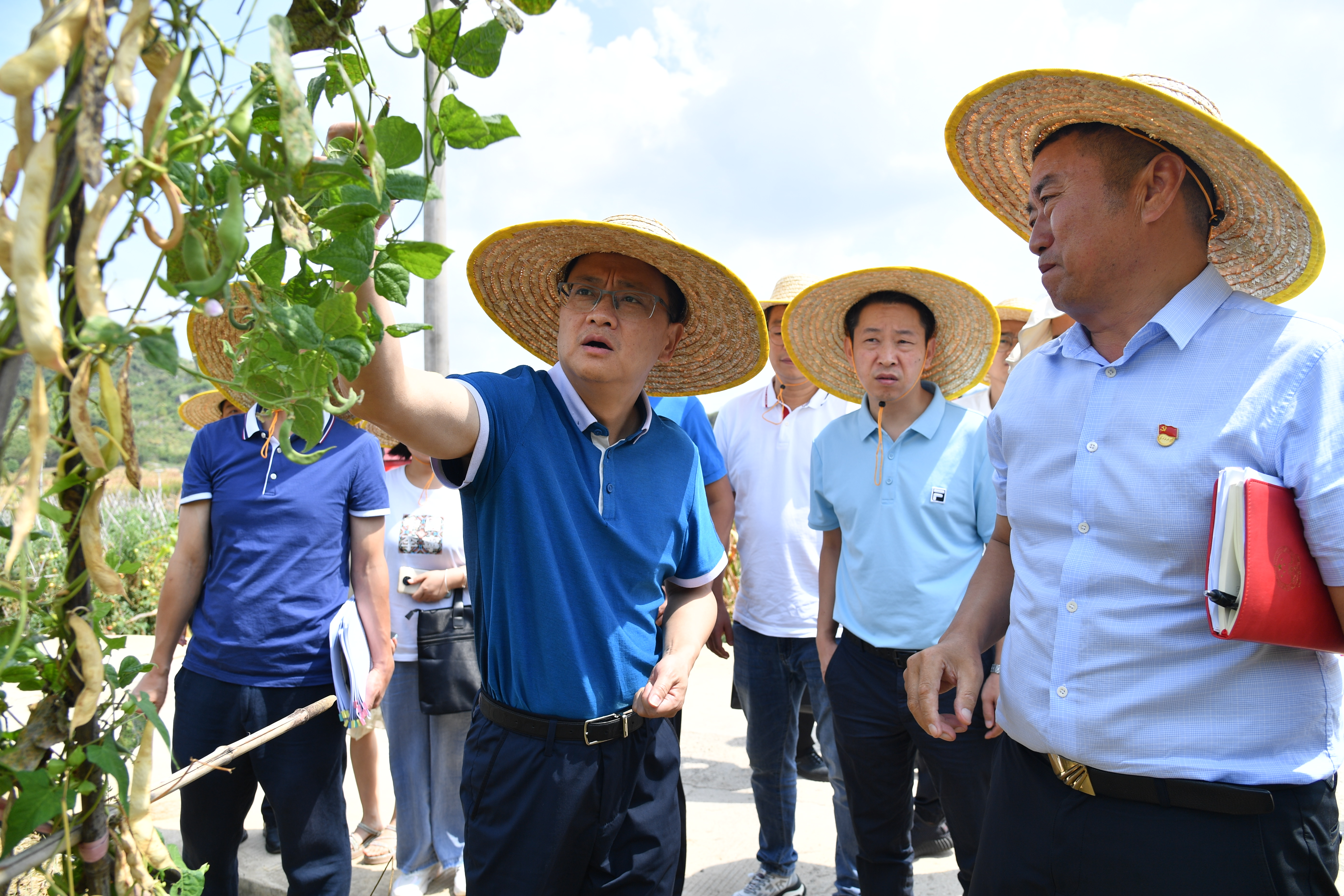 罗杨调研全区抗旱,领办示范责任田等工作_澎湃号·政务_澎湃新闻-the