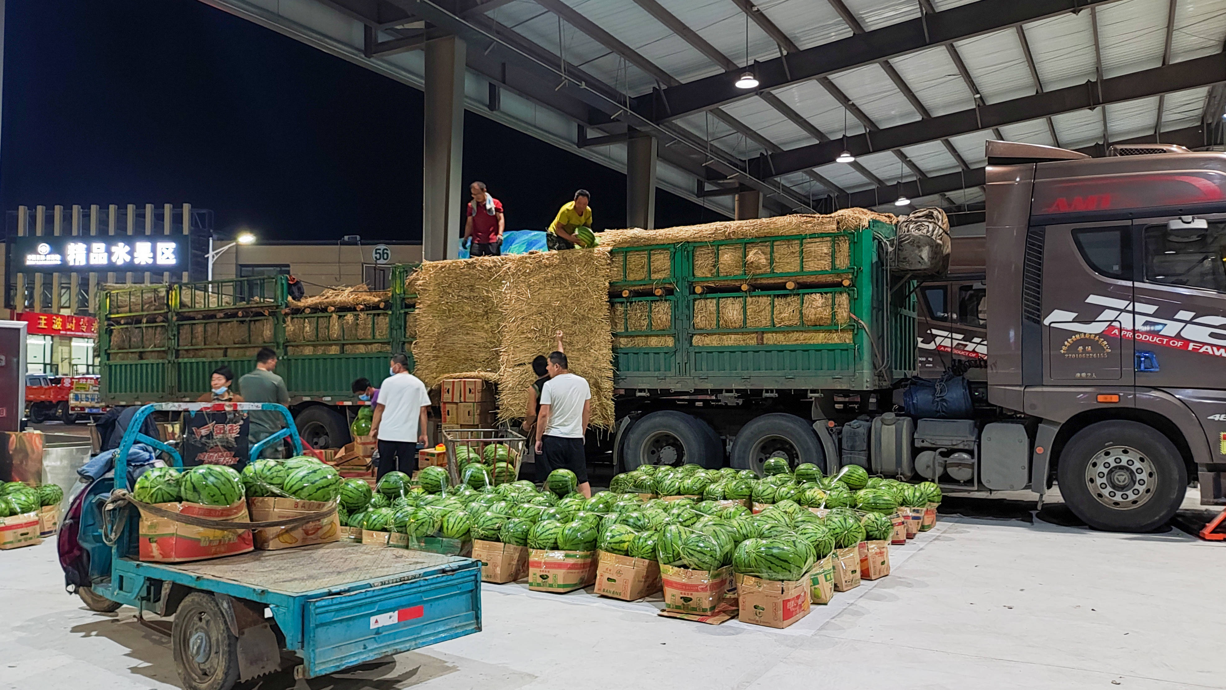 中秋“菜篮子”“装满”！青岛计划均衡投放市级蔬菜、猪肉储备8700吨-青报网-青岛日报官网
