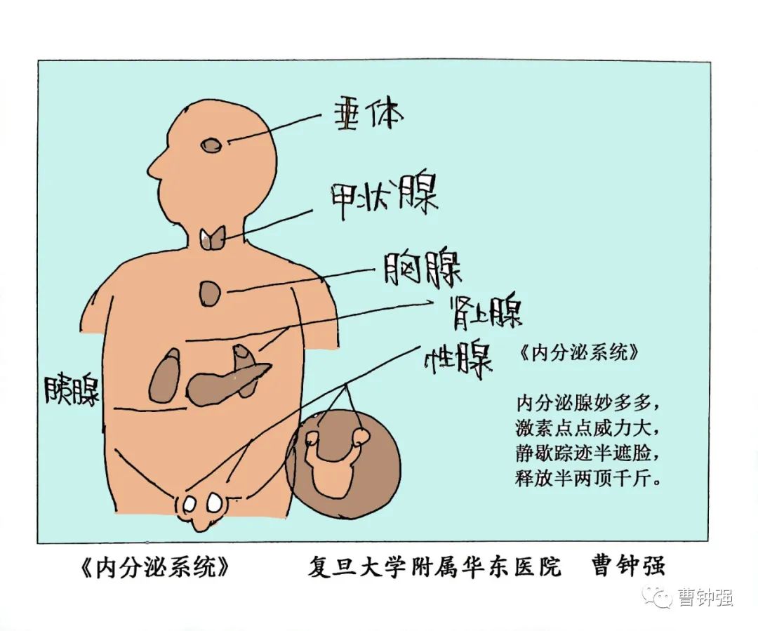 八大系统图片卡通图片