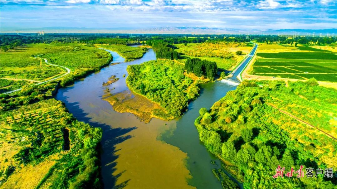 武威市民勤县:筑牢绿色发展屏障_澎湃号·政务_澎湃新闻-the paper